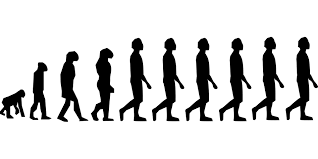 The Counter Evolution of a Sales Professional